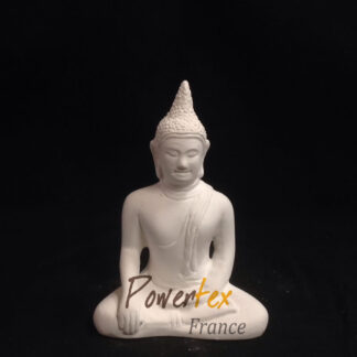 Collection Bouddha