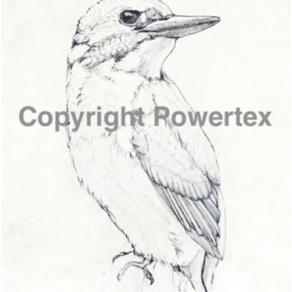 L'oiseau 0398