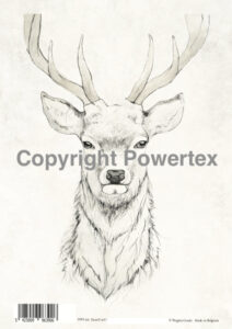 Deer black&white 0390