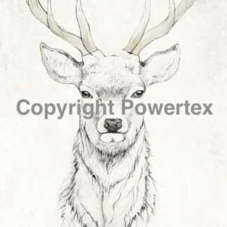 Deer black&white 0390